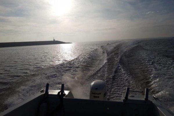 Tom en Niels, bootvissen Westerschelde