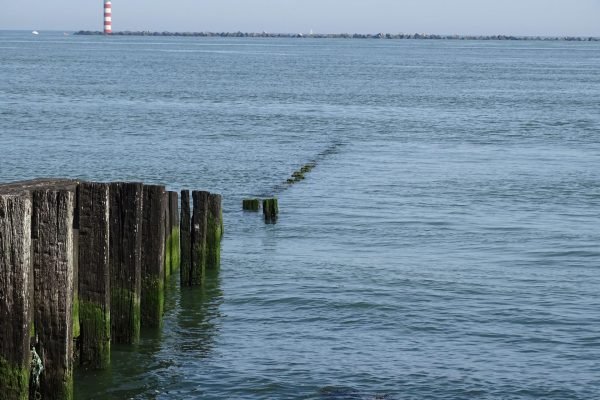 Ies, vissen aan vergeten stekken